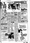 Sunday Independent (Dublin) Sunday 03 November 1974 Page 19
