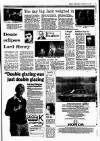 Sunday Independent (Dublin) Sunday 16 February 1986 Page 11