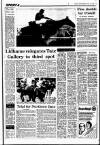Sunday Independent (Dublin) Sunday 13 April 1986 Page 27