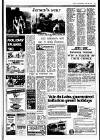 Sunday Independent (Dublin) Sunday 20 April 1986 Page 19