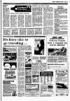 Sunday Independent (Dublin) Sunday 27 April 1986 Page 19