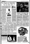 Sunday Independent (Dublin) Sunday 15 June 1986 Page 25