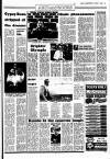 Sunday Independent (Dublin) Sunday 03 August 1986 Page 13