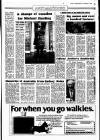 Sunday Independent (Dublin) Sunday 02 November 1986 Page 15