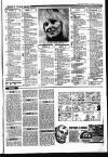 Sunday Independent (Dublin) Sunday 11 January 1987 Page 31