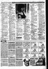 Sunday Independent (Dublin) Sunday 18 January 1987 Page 31