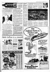 Sunday Independent (Dublin) Sunday 15 February 1987 Page 17
