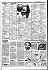 Sunday Independent (Dublin) Sunday 19 April 1987 Page 31