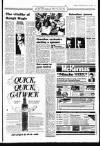 Sunday Independent (Dublin) Sunday 24 May 1987 Page 19