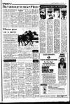 Sunday Independent (Dublin) Sunday 26 July 1987 Page 25