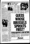Sunday Independent (Dublin) Sunday 06 September 1987 Page 7