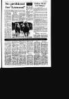 Sunday Independent (Dublin) Sunday 20 September 1987 Page 37