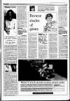 Sunday Independent (Dublin) Sunday 18 October 1987 Page 9