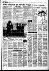 Sunday Independent (Dublin) Sunday 08 November 1987 Page 29