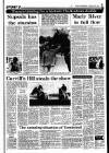 Sunday Independent (Dublin) Sunday 28 February 1988 Page 29