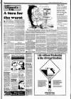 Sunday Independent (Dublin) Sunday 03 April 1988 Page 9