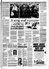 Sunday Independent (Dublin) Sunday 03 April 1988 Page 13