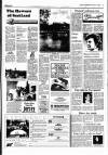 Sunday Independent (Dublin) Sunday 10 April 1988 Page 15