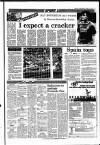 Sunday Independent (Dublin) Sunday 12 June 1988 Page 25