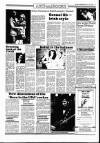 Sunday Independent (Dublin) Sunday 10 July 1988 Page 17