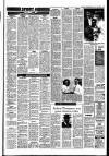 Sunday Independent (Dublin) Sunday 10 July 1988 Page 29