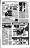 Sunday Independent (Dublin) Sunday 06 November 1988 Page 13