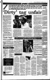 Sunday Independent (Dublin) Sunday 06 November 1988 Page 25