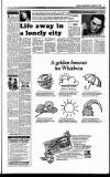 Sunday Independent (Dublin) Sunday 08 January 1989 Page 11
