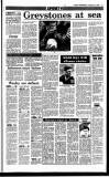 Sunday Independent (Dublin) Sunday 29 January 1989 Page 31