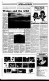 Sunday Independent (Dublin) Sunday 02 July 1989 Page 22