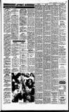 Sunday Independent (Dublin) Sunday 09 July 1989 Page 33