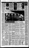 Sunday Independent (Dublin) Sunday 30 July 1989 Page 31