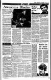 Sunday Independent (Dublin) Sunday 05 November 1989 Page 29