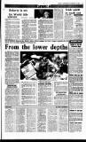 Sunday Independent (Dublin) Sunday 19 November 1989 Page 33