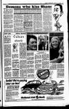 Sunday Independent (Dublin) Sunday 14 January 1990 Page 13
