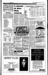 Sunday Independent (Dublin) Sunday 21 January 1990 Page 13