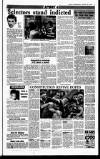 Sunday Independent (Dublin) Sunday 28 January 1990 Page 31