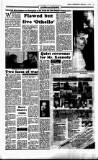 Sunday Independent (Dublin) Sunday 04 February 1990 Page 19
