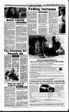 Sunday Independent (Dublin) Sunday 11 February 1990 Page 21