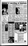 Sunday Independent (Dublin) Sunday 11 February 1990 Page 25