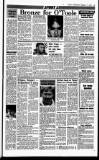 Sunday Independent (Dublin) Sunday 11 February 1990 Page 31