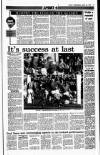 Sunday Independent (Dublin) Sunday 25 March 1990 Page 31