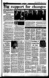 Sunday Independent (Dublin) Sunday 01 April 1990 Page 29
