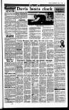 Sunday Independent (Dublin) Sunday 01 April 1990 Page 33