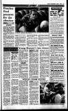 Sunday Independent (Dublin) Sunday 08 April 1990 Page 29