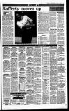 Sunday Independent (Dublin) Sunday 08 April 1990 Page 33