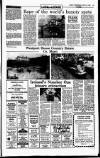Sunday Independent (Dublin) Sunday 29 April 1990 Page 35