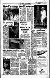 Sunday Independent (Dublin) Sunday 01 July 1990 Page 25