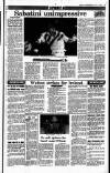 Sunday Independent (Dublin) Sunday 01 July 1990 Page 39