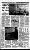 Sunday Independent (Dublin) Sunday 22 July 1990 Page 33